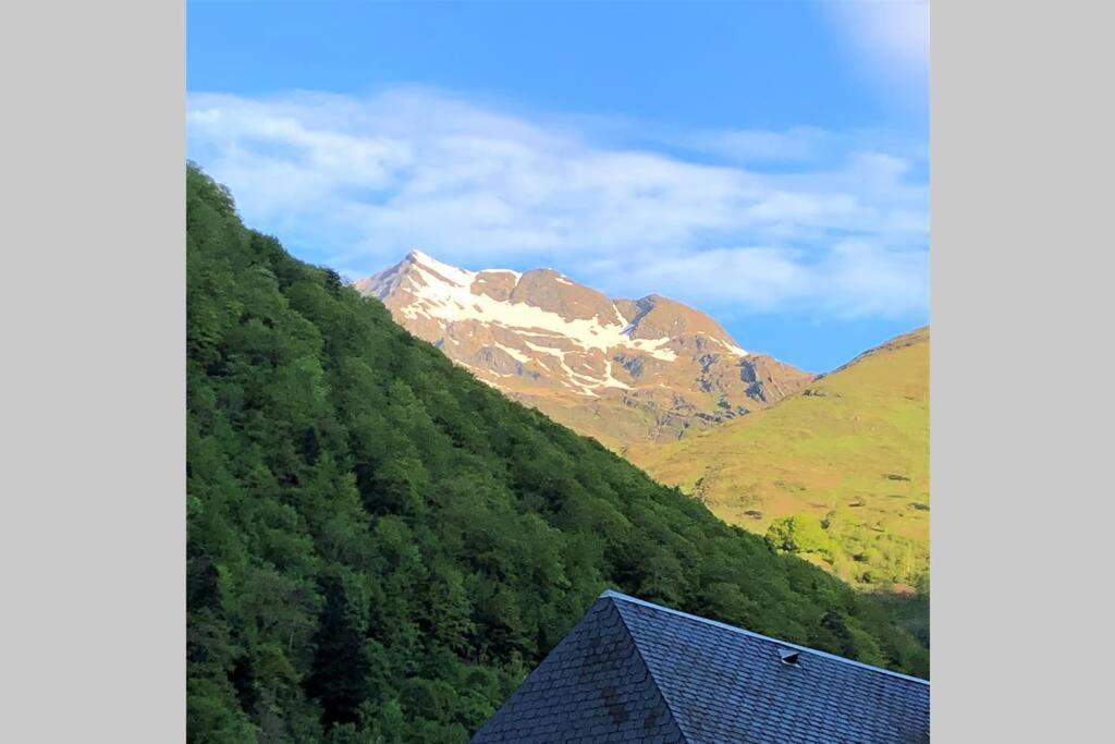 Grand T2 4 Voyageurs Tout Confort Cauterets Exterior photo